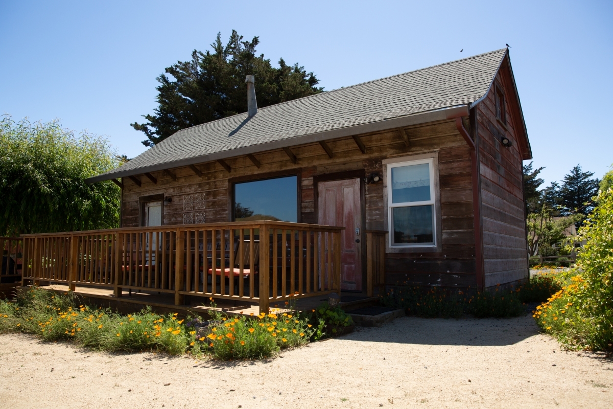 blog__come-for-a-ranch-stay/014_StempleCreek_Flowers_05282020_paigegreen.jpg