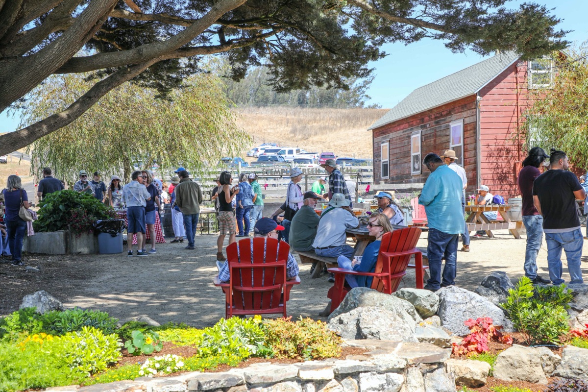 blog__photo-recap-our-10-year-anniversary-open-house-bbq/2X8A3195.jpg