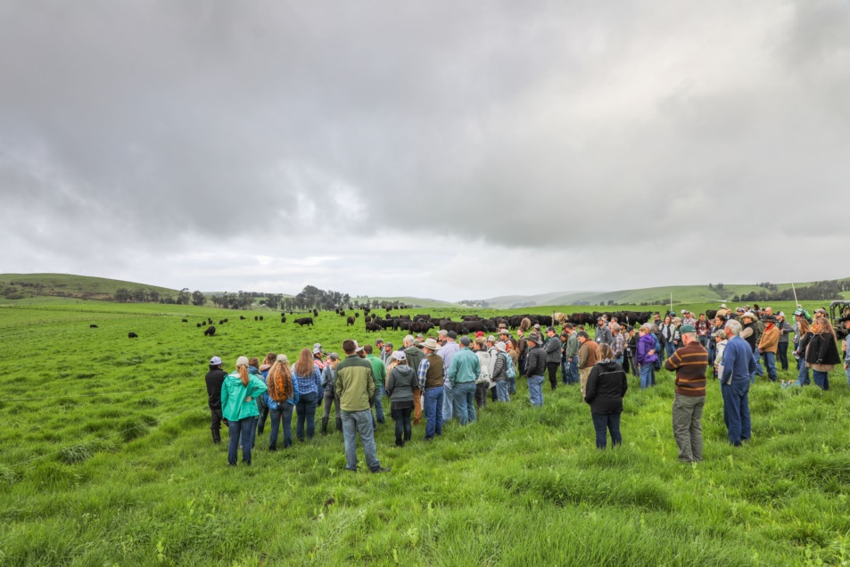 blog__earth-day-2019-carbon-farming-for-the-future/2X8A5094.jpg