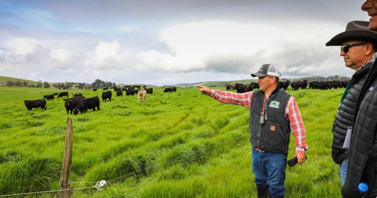 blog__earth-day-2019-carbon-farming-for-the-future/2X8A5138.jpg