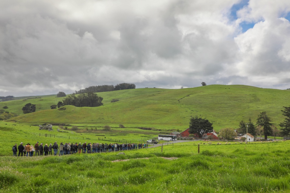 blog__earth-day-2019-carbon-farming-for-the-future/2X8A5200.jpg