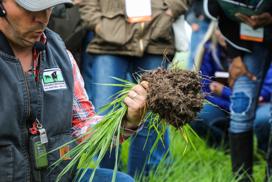 blog__earth-day-2019-carbon-farming-for-the-future/2X8A5263.jpg