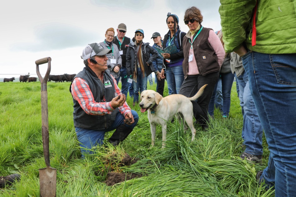 blog__earth-day-2019-carbon-farming-for-the-future/2X8A5264.jpg