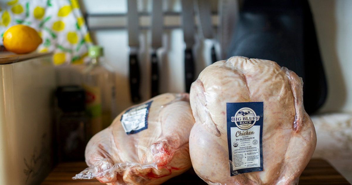 blog__introducing-pasture-raised-organic-chicken/Big_Bluff_Chicken_-_3.png