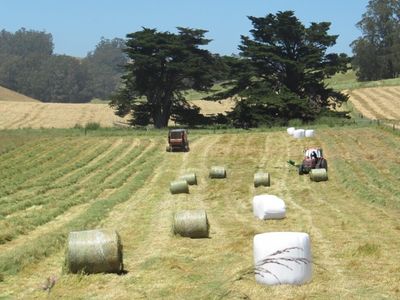 blog__making-hay-when-the-sun-shines/IMG_0536-1024x575.jpg