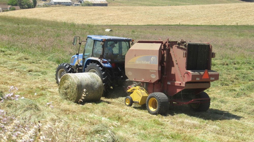 blog__making-hay-when-the-sun-shines/IMG_0552-1024x575.jpg