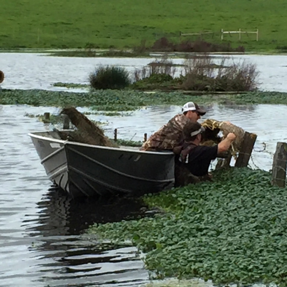 blog__wildlife-enhancement-getting-our-ducks-in-a-row/IMG_1722.JPG