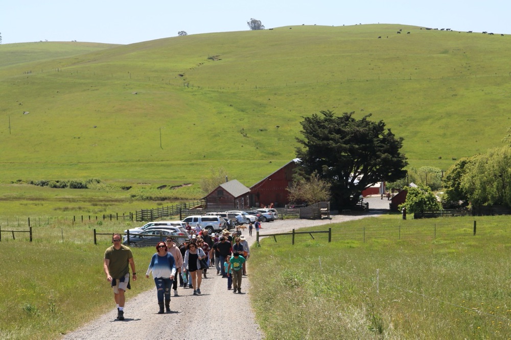 blog__take-a-stemple-creek-ranch-tour/IMG_2105sm.jpg