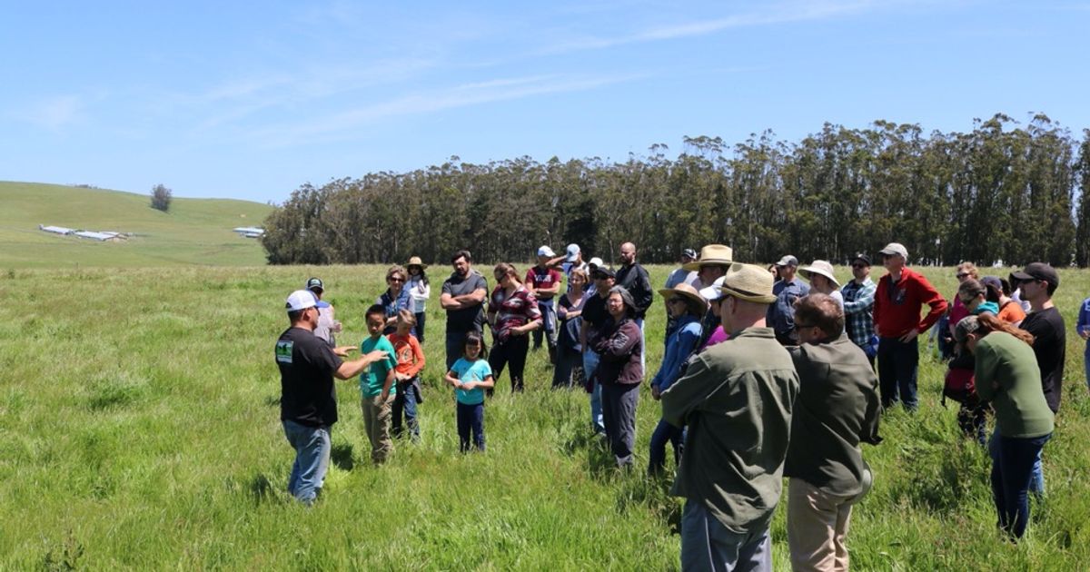blog__take-a-stemple-creek-ranch-tour/IMG_2125sm.jpg