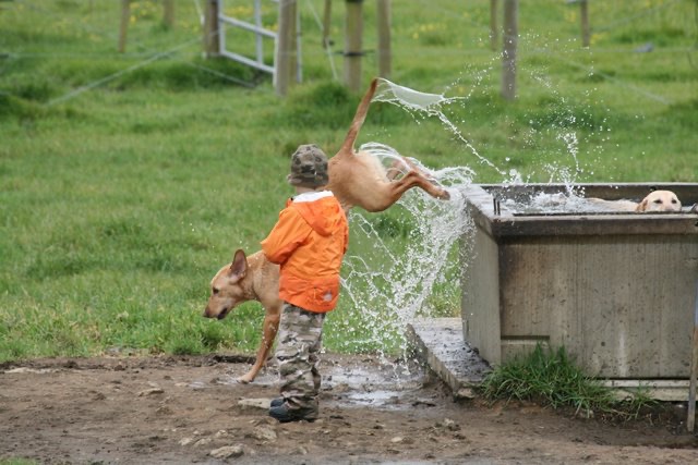 blog__water-development/IMG_2158.JPG