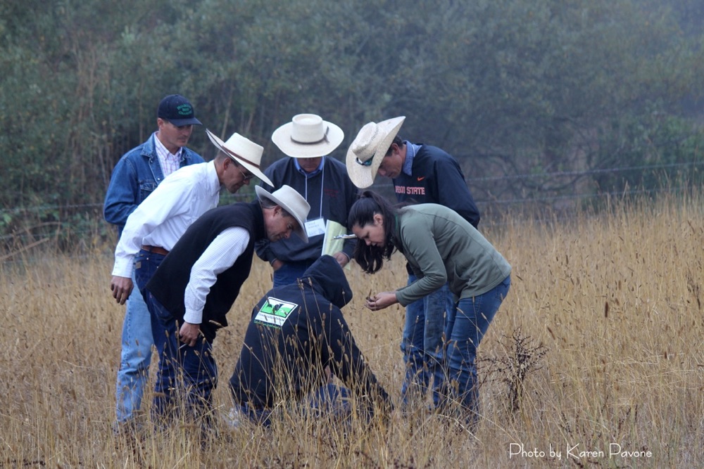 blog__talking-soil/IMG_2901wm.jpg