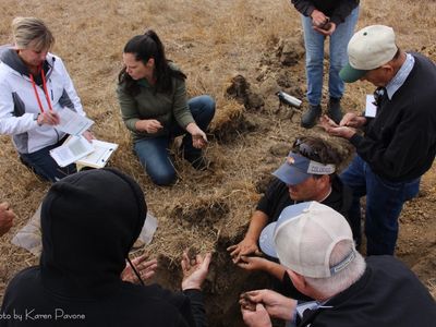 blog__talking-soil/IMG_2959wm.jpg