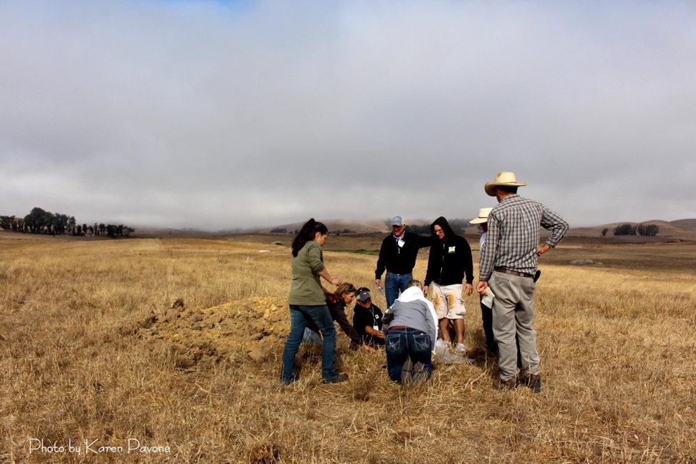blog__talking-soil/IMG_2982wm.jpg