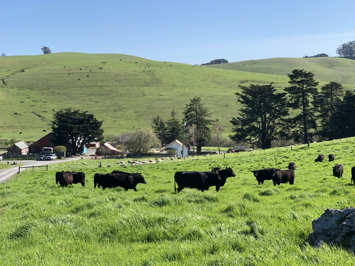 blog__spring-ranch-dinner-highlights/IMG_4040.jpg