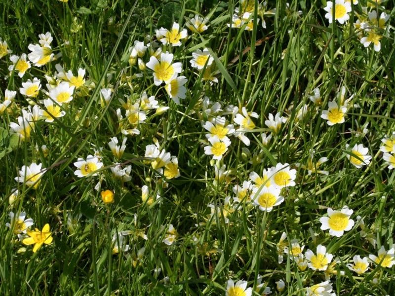 blog__spring-has-sprung/IMG_4256.jpg
