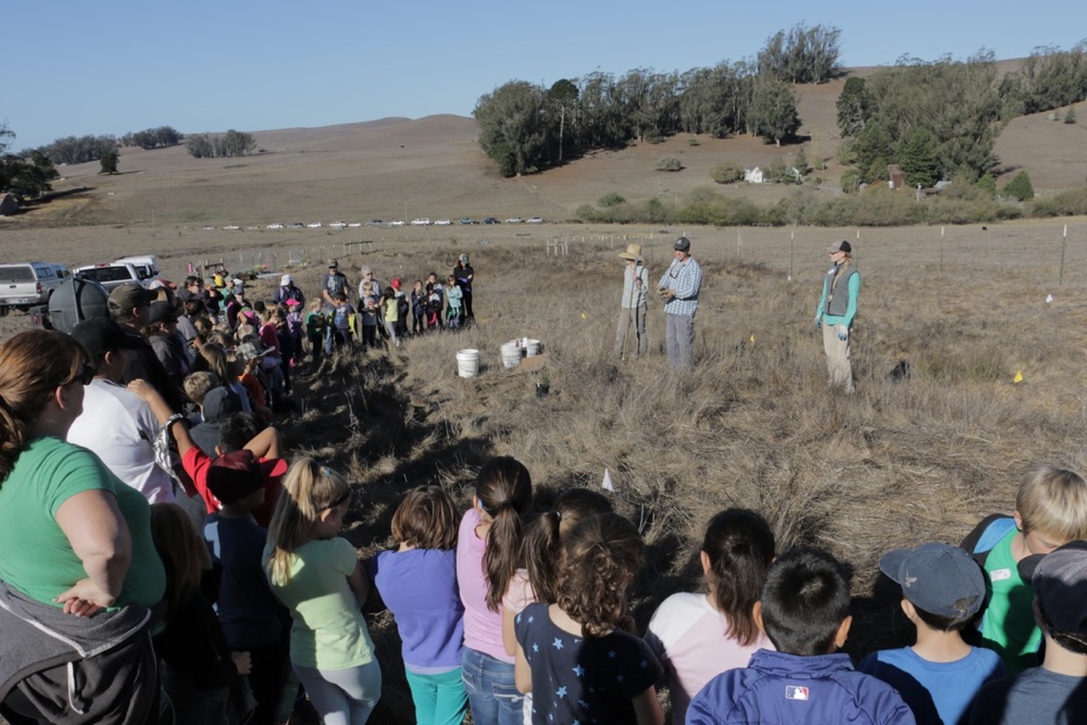 blog__straw-visits-stemple-creek/IMG_4687.jpg