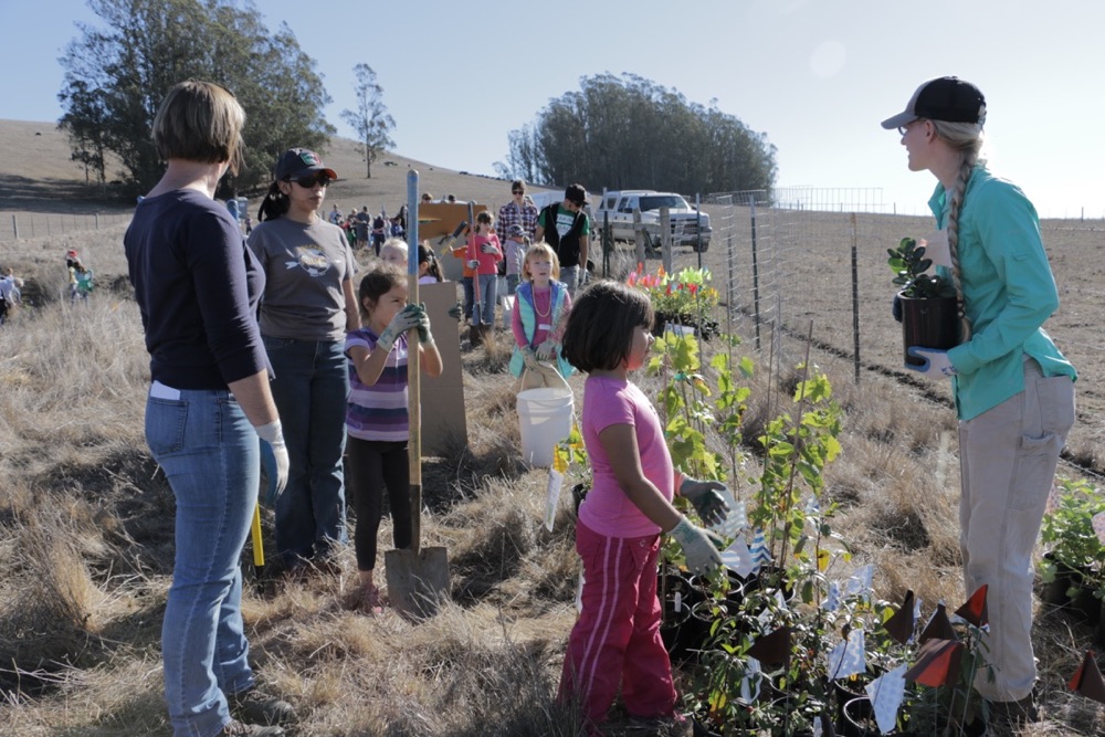 blog__straw-visits-stemple-creek/IMG_4720.jpg