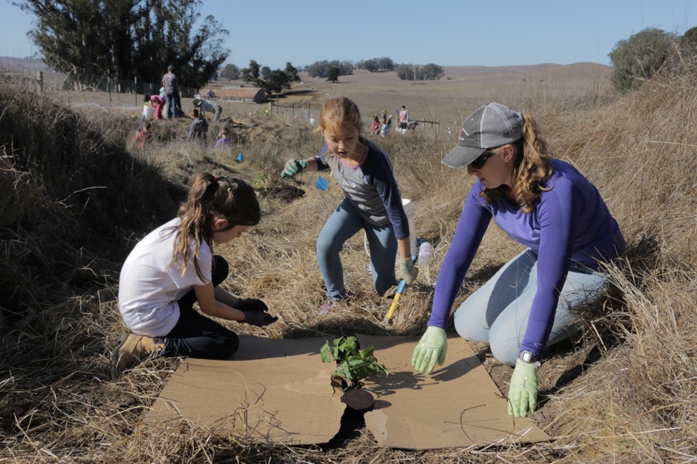 blog__straw-visits-stemple-creek/IMG_4777.jpg