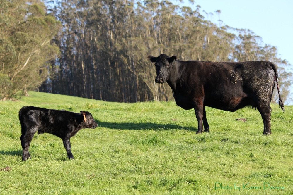 blog__our-drought-success-story/IMG_5421smwm.jpg