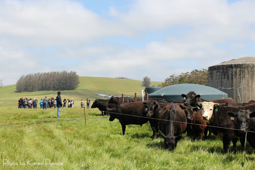 blog__join-us-for-a-ranch-tour/IMG_7026ewm.jpg