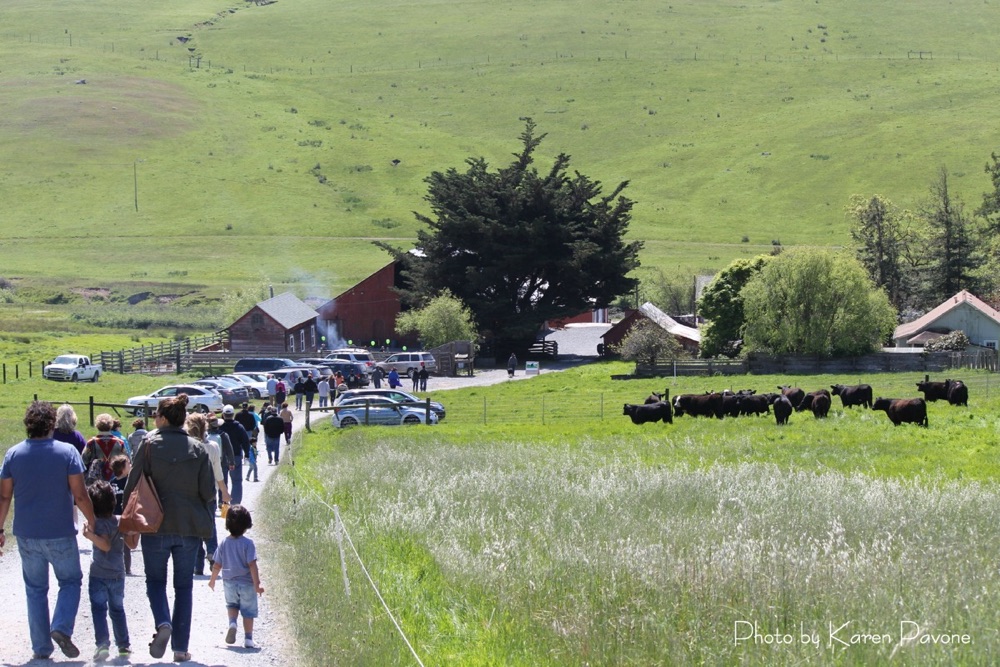blog__join-us-for-a-ranch-tour/IMG_7132smwm.jpg