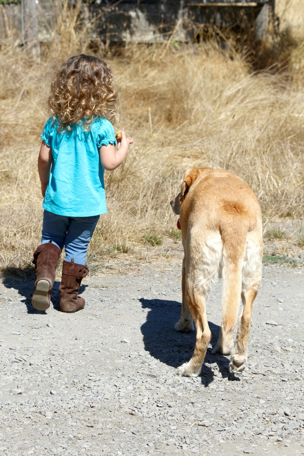 blog__a-tour-at-stemple-creek-ranch/IMG_7681.jpg