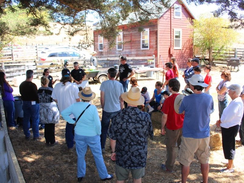 blog__a-tour-at-stemple-creek-ranch/IMG_7764.jpg