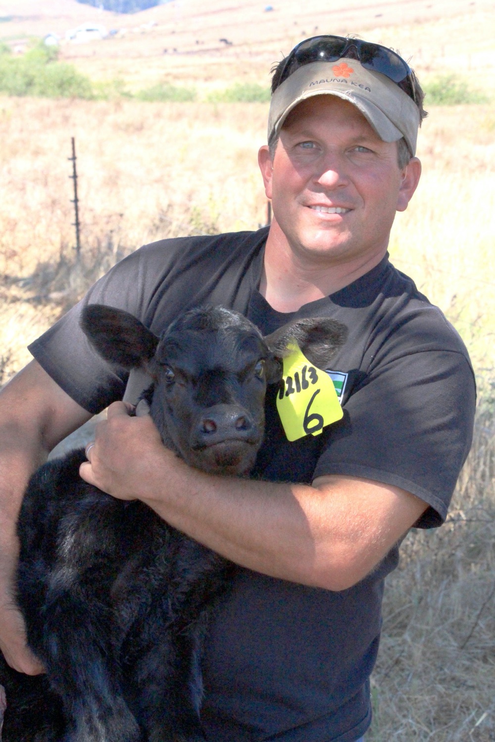 blog__calving-season/IMG_7918e.jpg