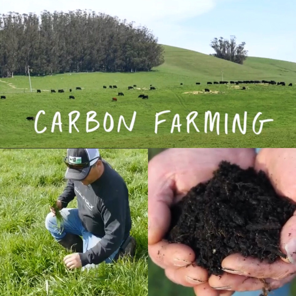 blog__the-benefits-of-regenerative-grazing/SCRCarbonFarming.JPG
