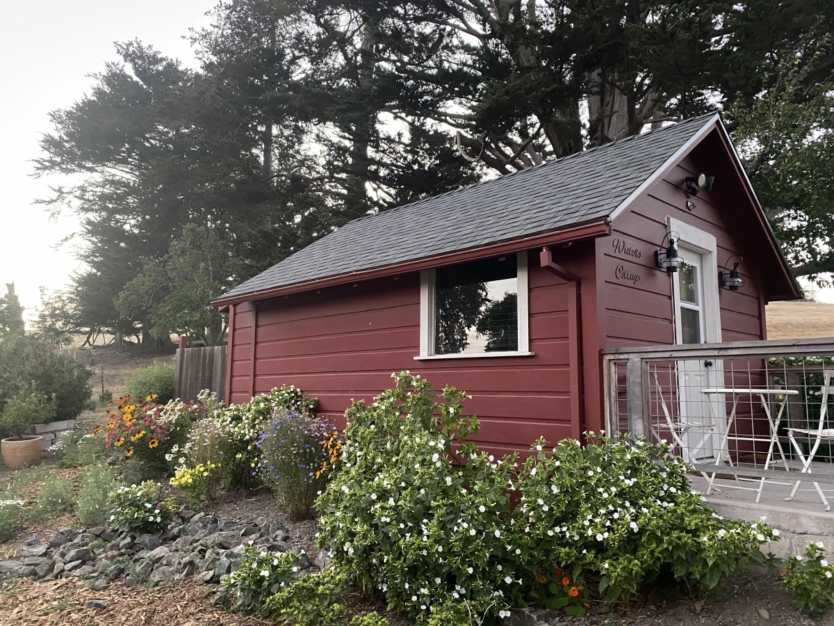 blog__come-for-a-ranch-stay/asdf_2021-09-14-212415.jpg