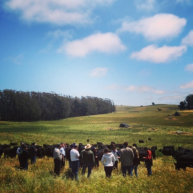 blog__our-drought-success-story/carbon_project.jpg