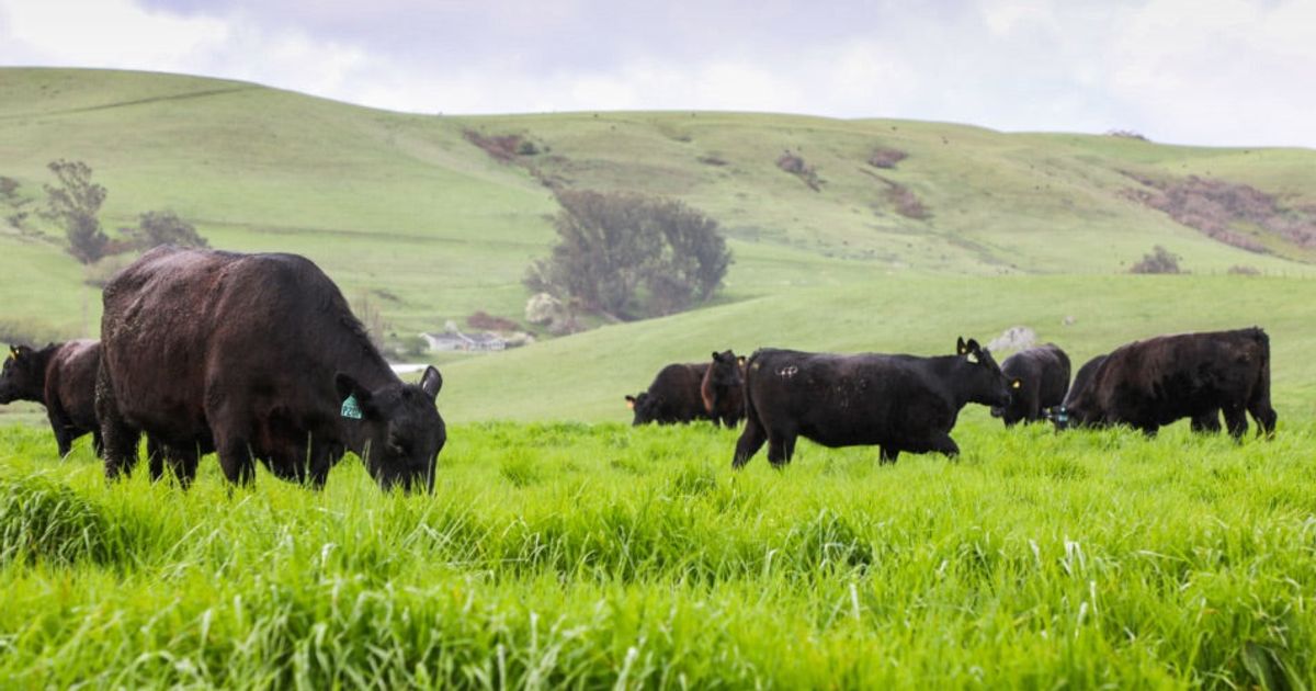Earth Day 2019: Carbon Farming for the Future