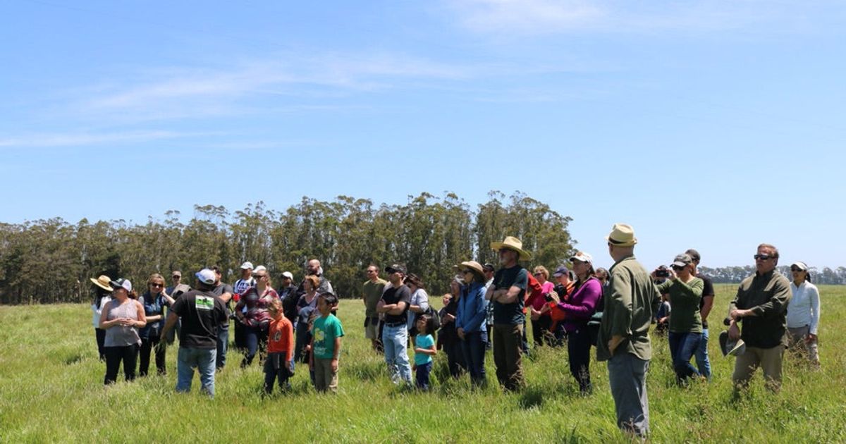 Take a Stemple Creek Ranch Tour!