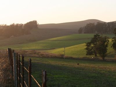 Green Grass, Mytty at One Month