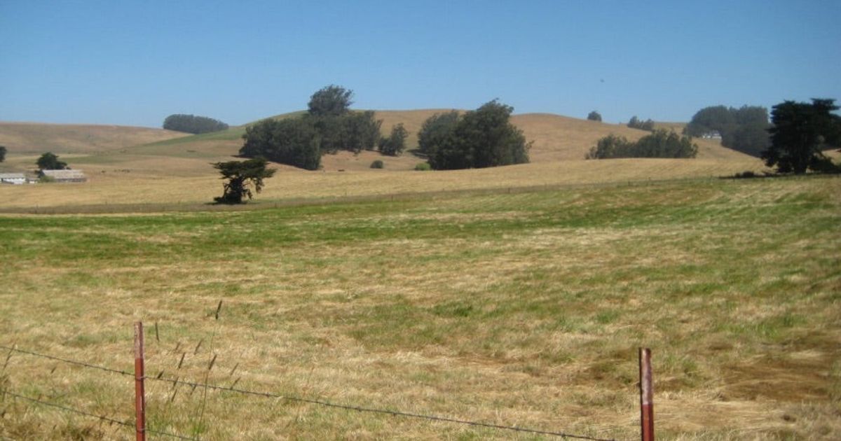 The Golden State