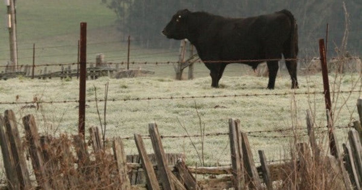December On The Ranch