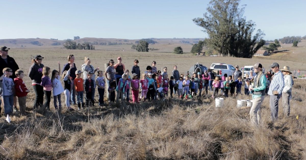 STRAW visits Stemple Creek