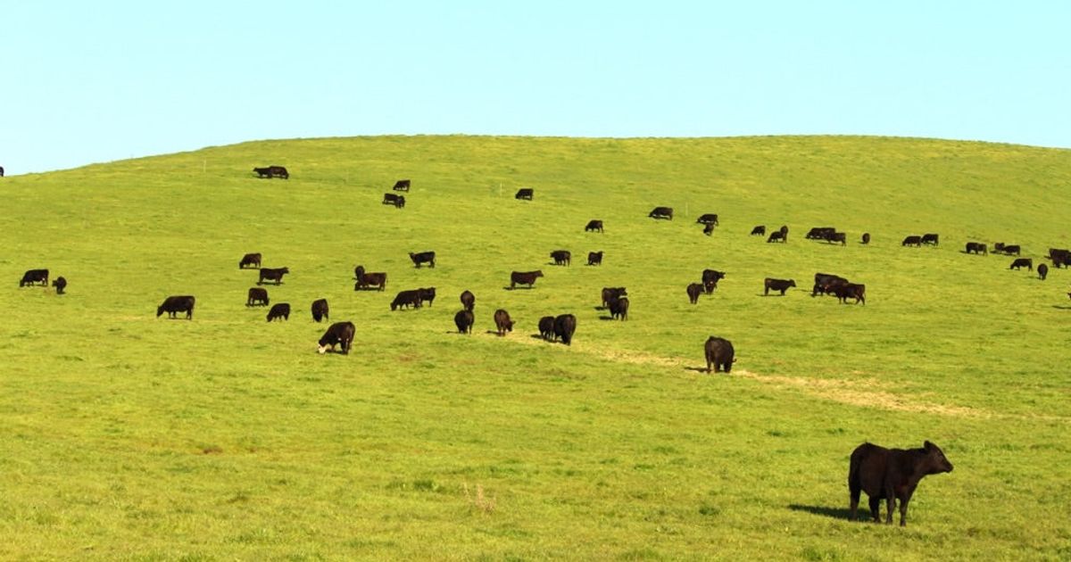 Our Drought Success Story