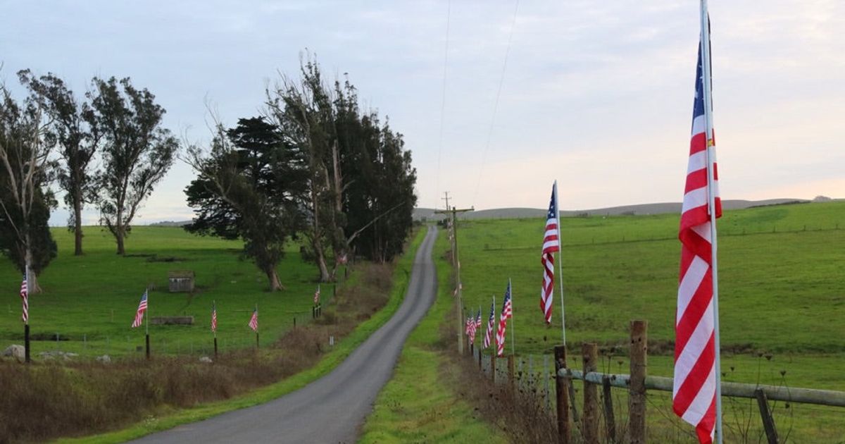 Celebrating Our Veterans with Ranchin' Vets