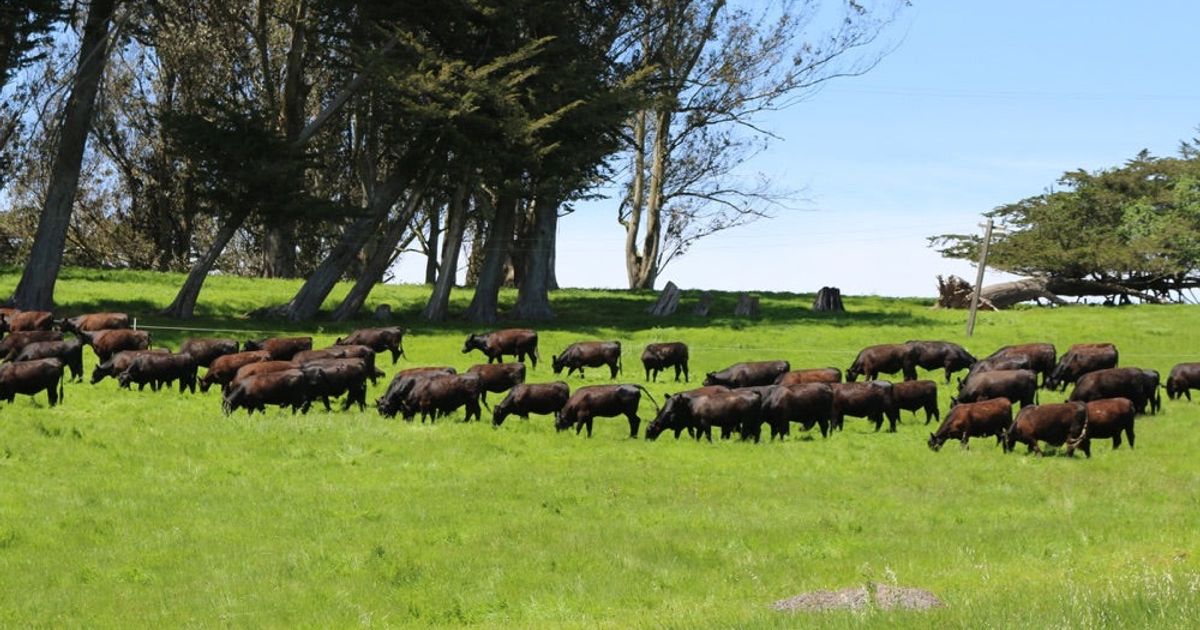 2014 Open House & BBQ Recap