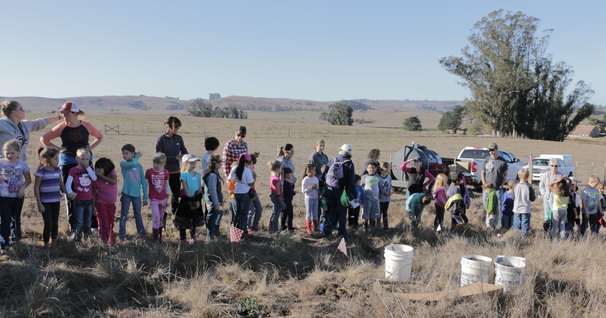 STRAW Project: Three Years Later