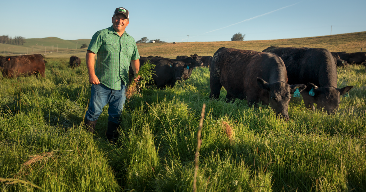"Why is Grass Fed Beef Better?"