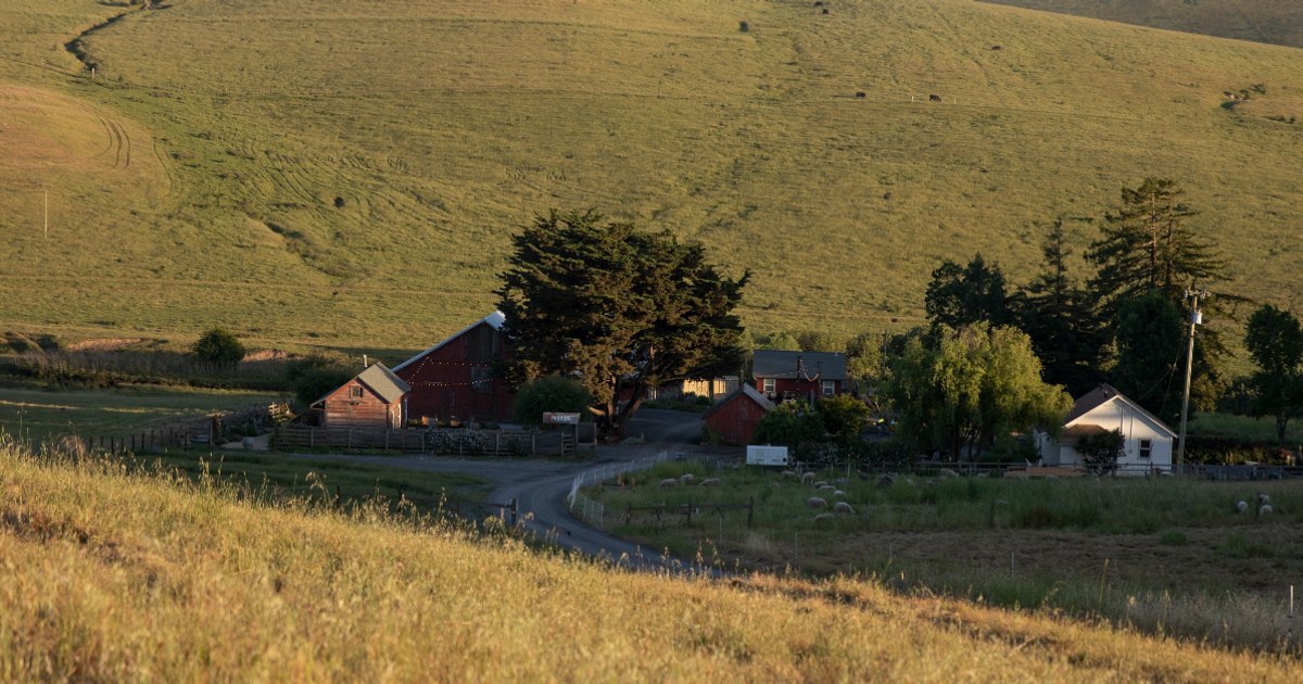 Book Your Ranch Stay!