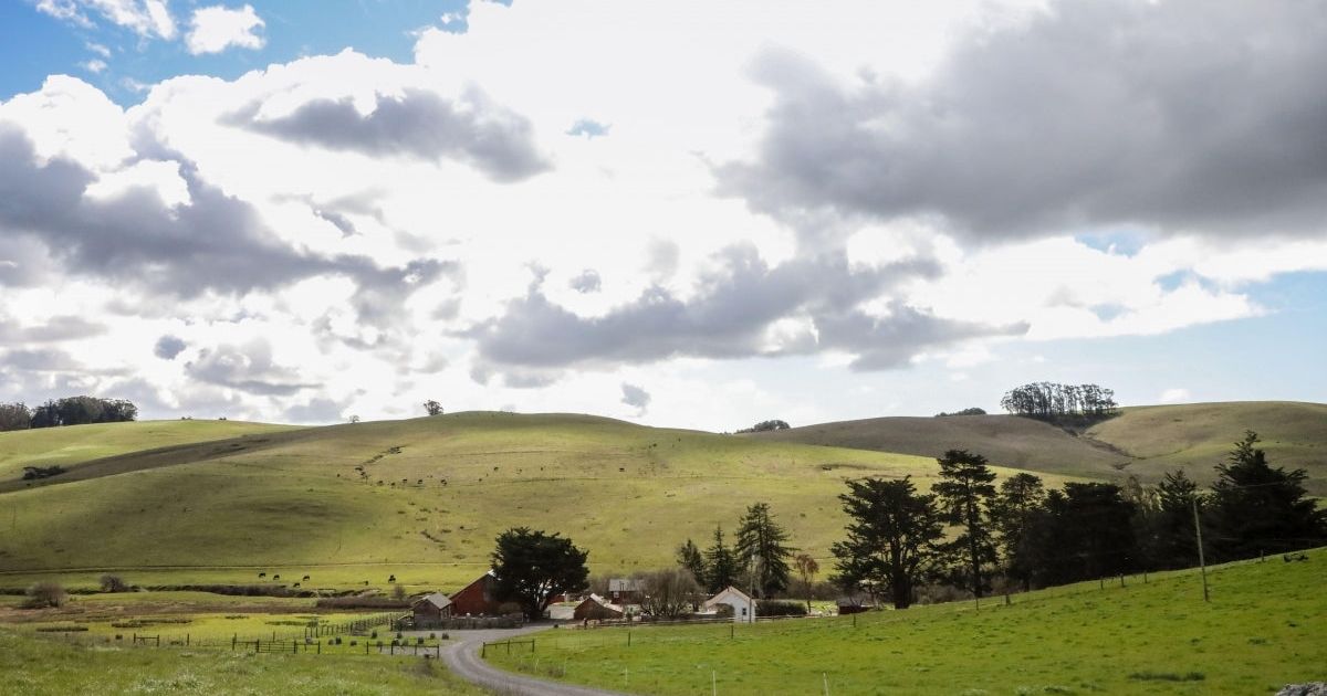 Come for a Ranch Stay!