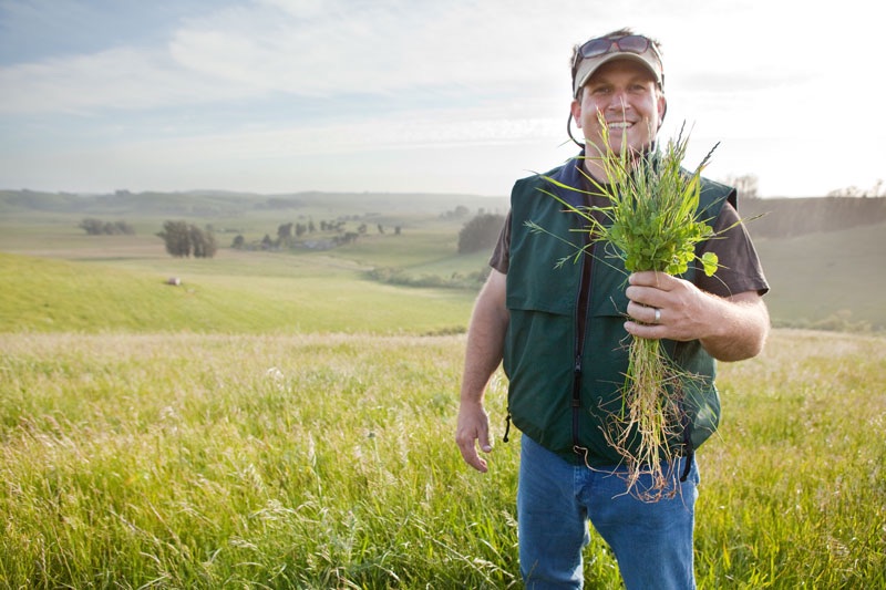 blog__the-benefits-of-regenerative-grazing/loren_grass.jpg