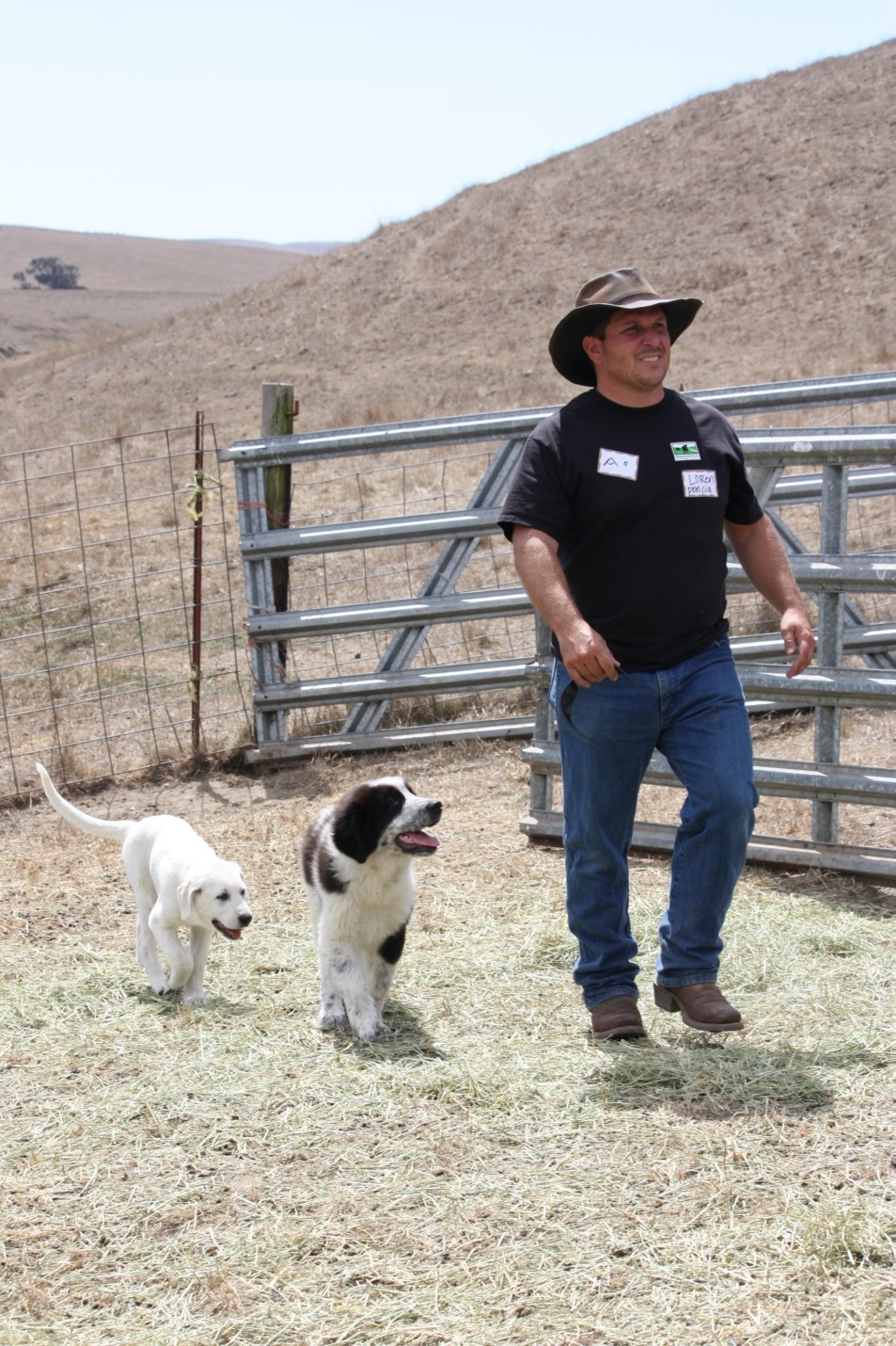 blog__the-pups-have-arrived/loren_with_dogs.JPG