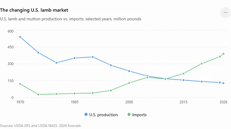 The Changing US Lamb Market