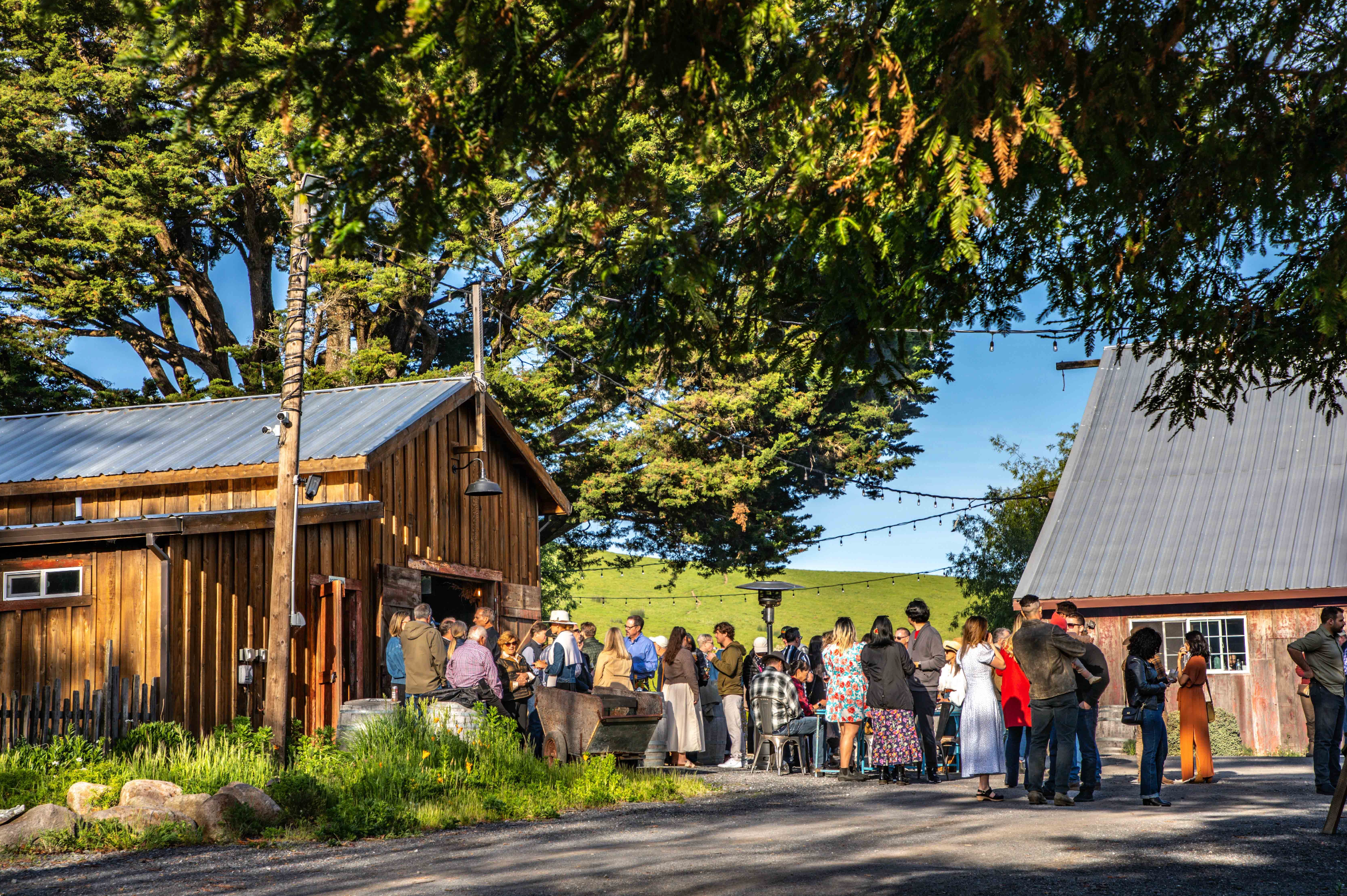 blog__spring-farm-dinner-2025-a-night-to-remember/spring_farm_dinner_ranch_event_2.png
