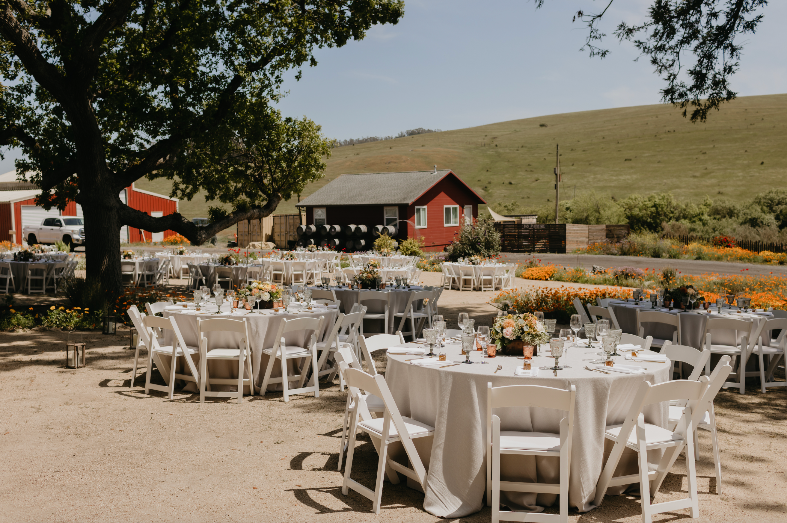 blog__interview-with-a-stemple-creek-bride/stemple_creek_weddings14.png