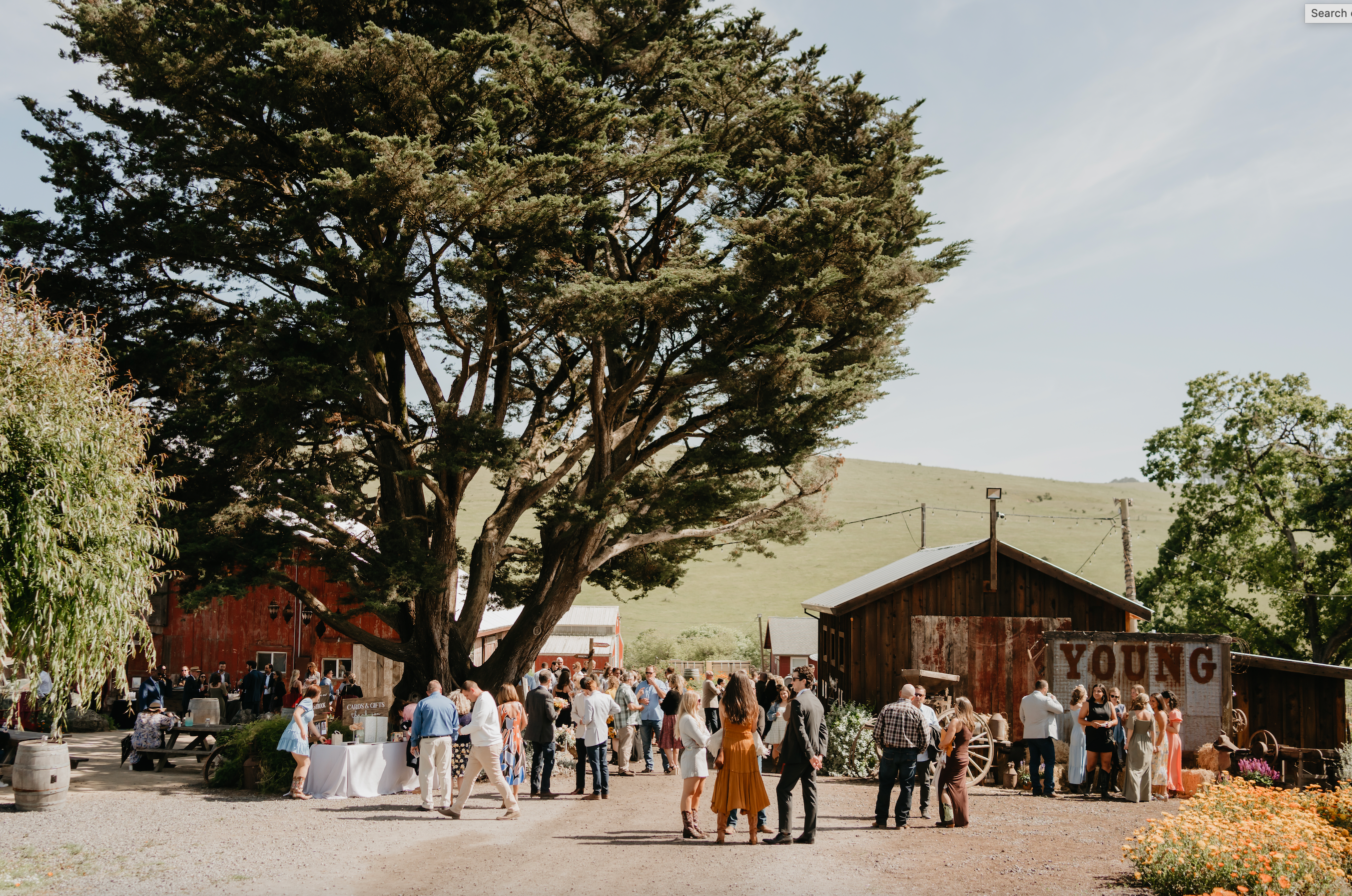 blog__interview-with-a-stemple-creek-bride/stemple_creek_weddings7.png